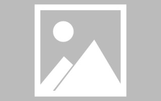 磐石绥化网站搭建公司有哪些（信息网绥化）
